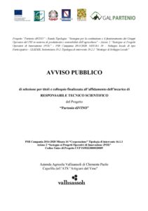 PSR CAMPANIA 2014/2020 – T.I. 16.1.1 AZ. 2 – AVVISO PUBBLICO DI SELEZIONE PER TITOLI E COLLOQUIO FINALIZZATA ALL’AFFIDAMENTO DELL’INCARICO DI RESPONSABILE TECNICO SCIENTIFICO DEL PROGETTO “Partenio diVINO”