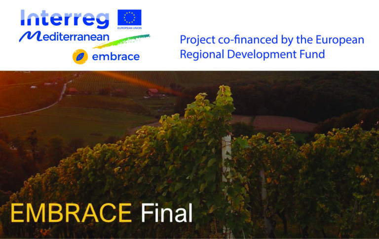 Embrace Final Event