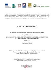 PSR CAMPANIA 2014/2020 – T.I. 16.1.1 AZ. 2 – AVVISO PUBBLICO DI SELEZIONE N.1 ADDETTO ALLE ATTIVITA’ DI SOCIAL MEDIA MARKETING E COORDINAMENTO AMMINISTRATIVO PROGETTO “Partenio diVINO”