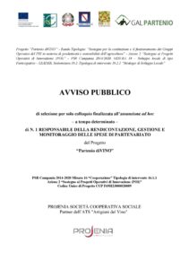PSR CAMPANIA 2014/2020 – T.I. 16.1.1 AZ. 2 – AVVISO PUBBLICO DI SELEZIONE N.1 RESPONSABILE DELLA RENDICONTAZIONE, GESTIONE E MONITORAGGIO DELLE SPESE DI PARTENARIATO PROGETTO “Partenio diVINO”