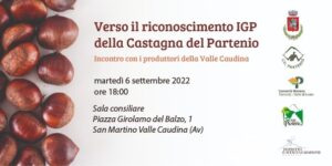 VERSO IL RICONOSCIMENTO IGP DELLA CASTAGNA DEL PARTENIO – INCONTRO CON I PRODUTTORI DELLA VALLE CAUDINA –       6 SETTEMBRE 2022 ORE 18:00