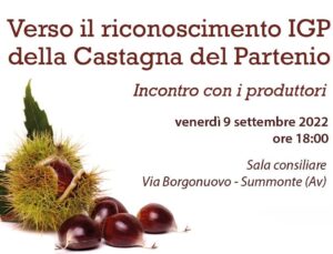 VERSO IL RICONOSCIMENTO IGP DELLA CASTAGNA DEL PARTENIO – INCONTRO CON I PRODUTTORI – 9 SETTEMBRE 2022 ORE 18:00