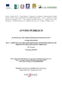 PSR CAMPANIA 2014/2020- T.I. 16.1.1 AZ. 2 – AVVISO PUBBLICO DI SELEZIONE DI N. 1 ADDETTO ALLA REALIZZAZIONE DEL SITO ISTITUZIONALE DI PROGETTO E REALIZZAZIONE VIDEOCLIP DEL PROGETTO “Partenio diVINO”